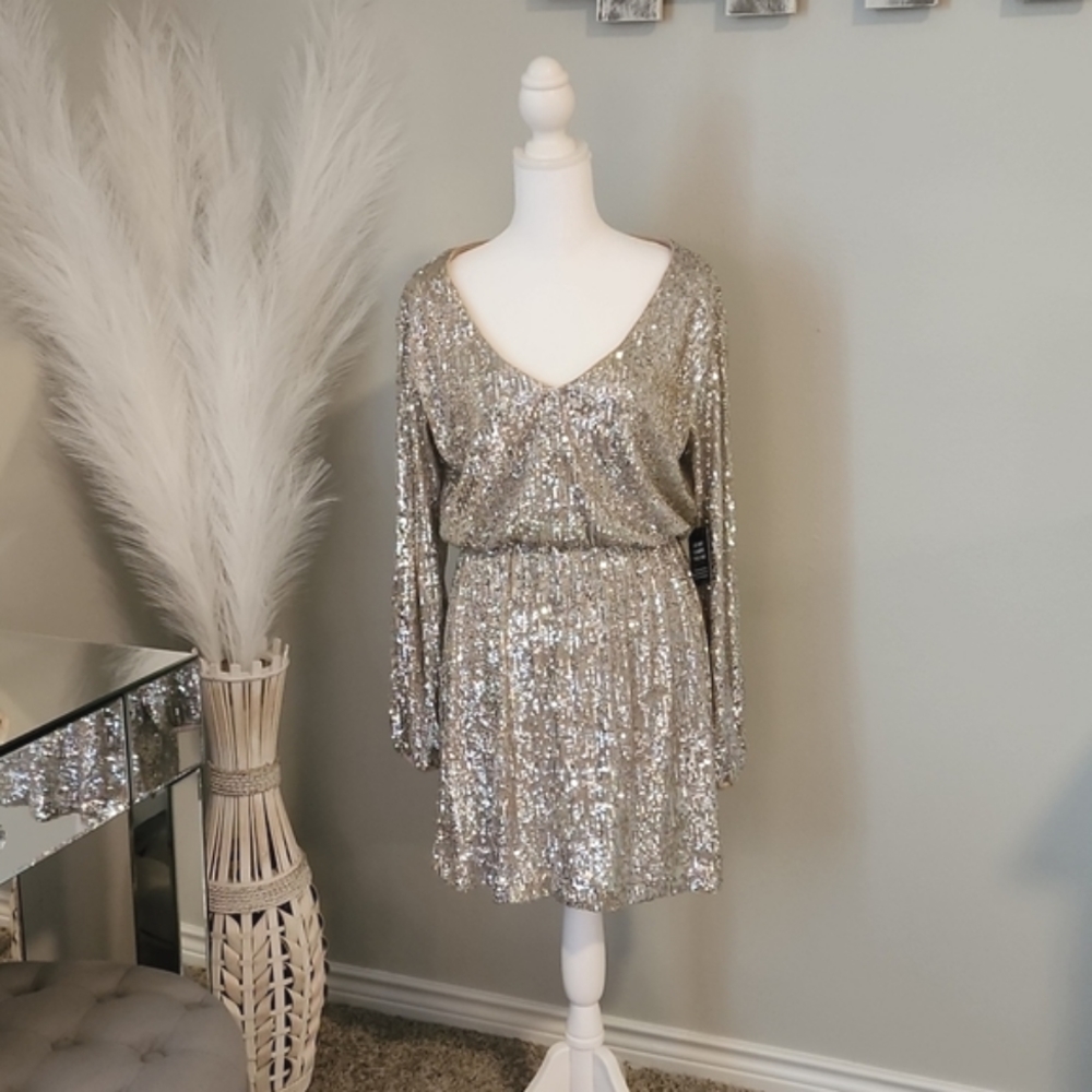 Express Silver and Nude Sequin Dress NWT